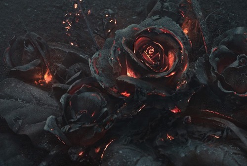 toomuchbakanotenoughtsun:sixpenceee:A smoldering bouquet of...