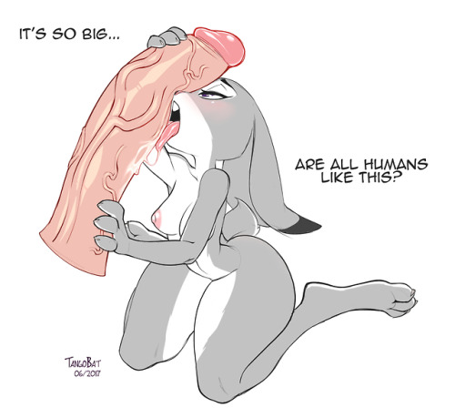 cartoonpornnsfw64 - Judy x Human (Request)I own none of the...