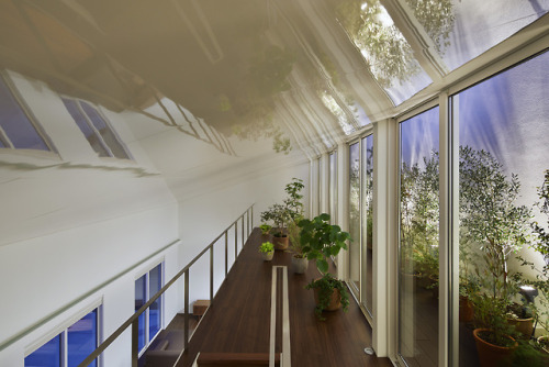 architectur3 - The House with PlantsKamakuraStudio