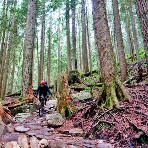 Mountain Biking in Canada is a little bit different than in...