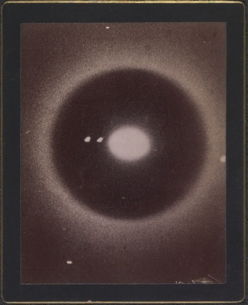 dame-de-pique - Astronomical Photographs, Harvard College...