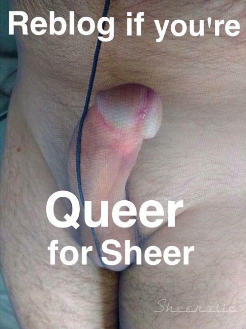 phoseguy2 - hoseloverlv - sheerotic - Are you queer for sheer? I...