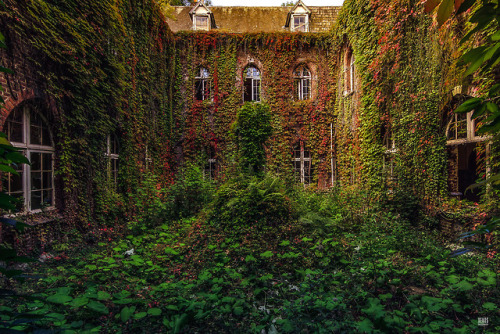 abandonedandurbex - Overgrown Courtyard [OS] [2048 x 1365].