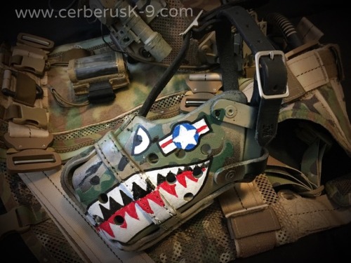 warriork9 - cerberusk9solutions - What better way to show off...