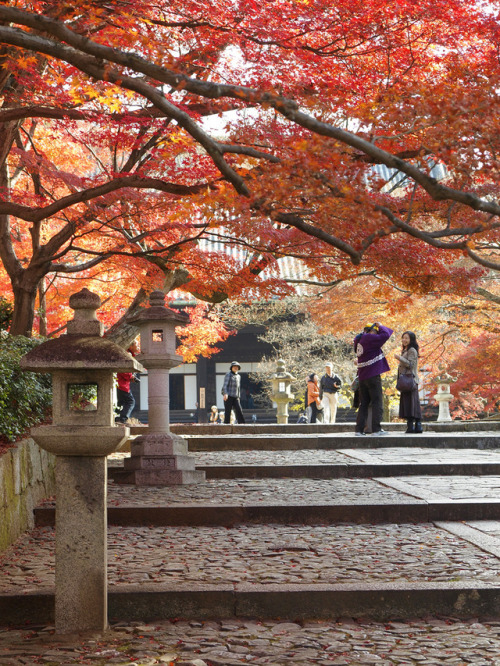 japan-overload:autumn delight, kyoto by  Yoshi Shimamura