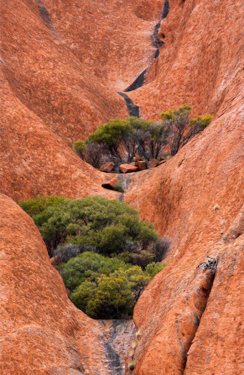 angel-kiyoss - Outback Oasis by Mike Dawson