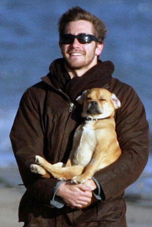 gyllenhaal-addict - Jake holding dogs wrong