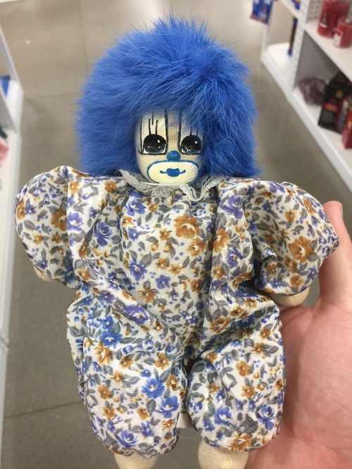 shiftythrifting - a dense clown with soft hair
