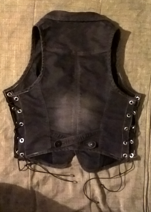 Cheese makes a new Battle-Vest — Beamdog Forums