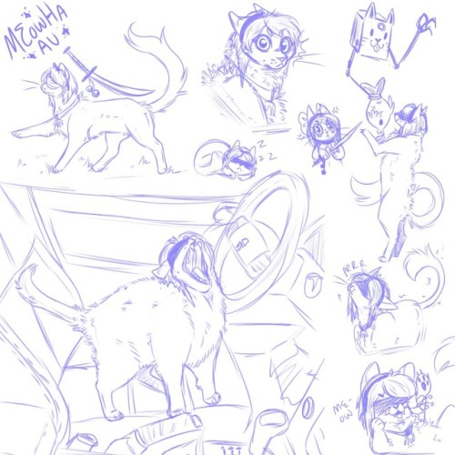 peppermintstickcoffee - Sketch Page for meoWHa!AU. A bunch 2Bs...