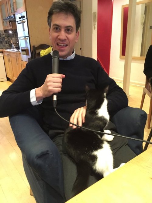 politiciansandanimals - “Ed Miliband brought my cat back...