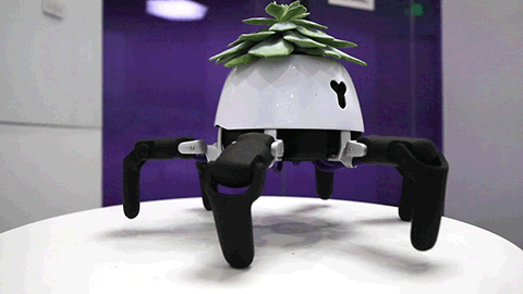 solarpunk-aesthetic:This adorable little robot is designed to...