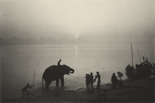 mpdrolet - Dawn, The Elephant Festival, Bihar, 1993Don...