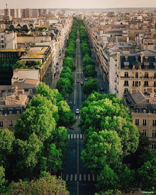 everything-thing - Green road, Paris | nathparisOne day I...