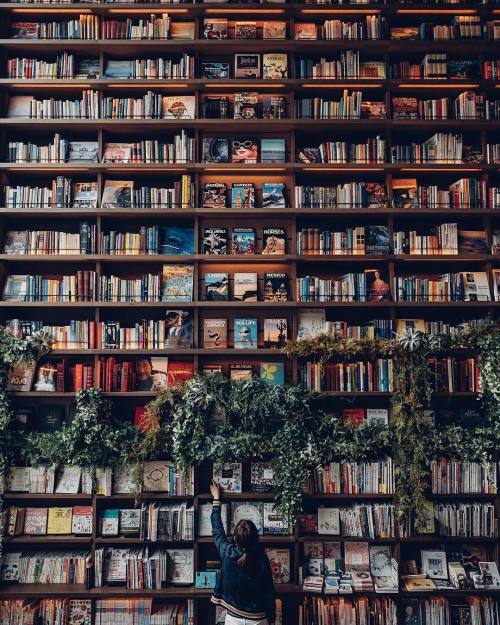 Image result for bookshelf aesthetic