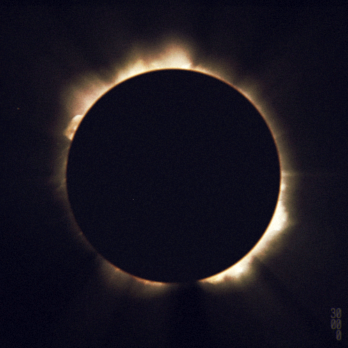 the-wolf-and-moon - Total Solar Eclipse