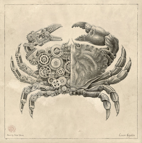 faithistorment - Biomechanical Illustrations of Crustaceans by...
