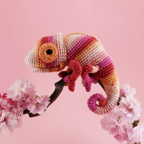 crochetcraftscraps - yarn-over-life - tammybobammy - sosuperaweso...