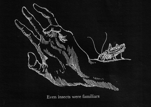 chaosophia218:Christina Hole - Even Insects were...