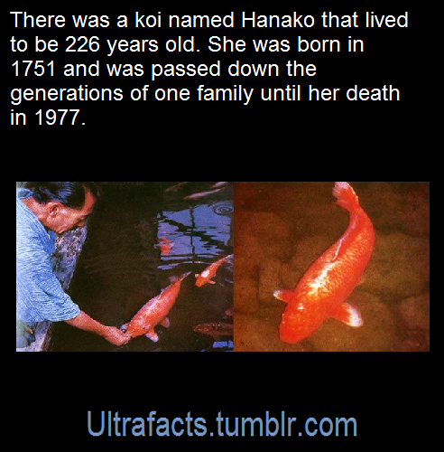 ultrafacts - Source - [x] Follow Ultrafacts for more facts!