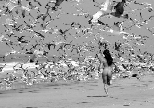 dimshapes - Russell Levin, Erin running with the gulls, 2013