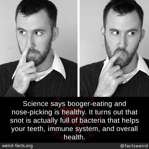 mindblowingfactz - Science says booger-eating and nose-picking...
