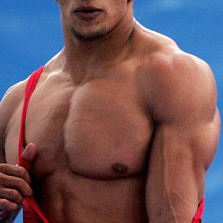 Wrestling Physiques