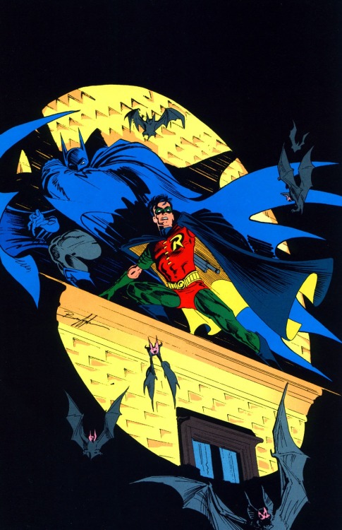 spaceshiprocket - Batman and Robin by Norm Breyfogle