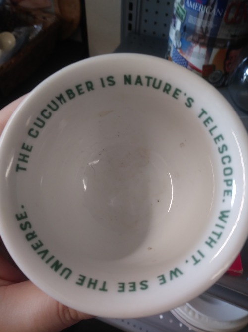 trashcanniballecter:trashcanniballecter:Y'all wanna see a weird cucumber illuminati cup I found...