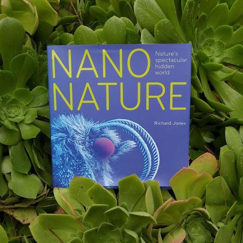 Extreme Close Ups Of Invisible Beauty Nano Nature