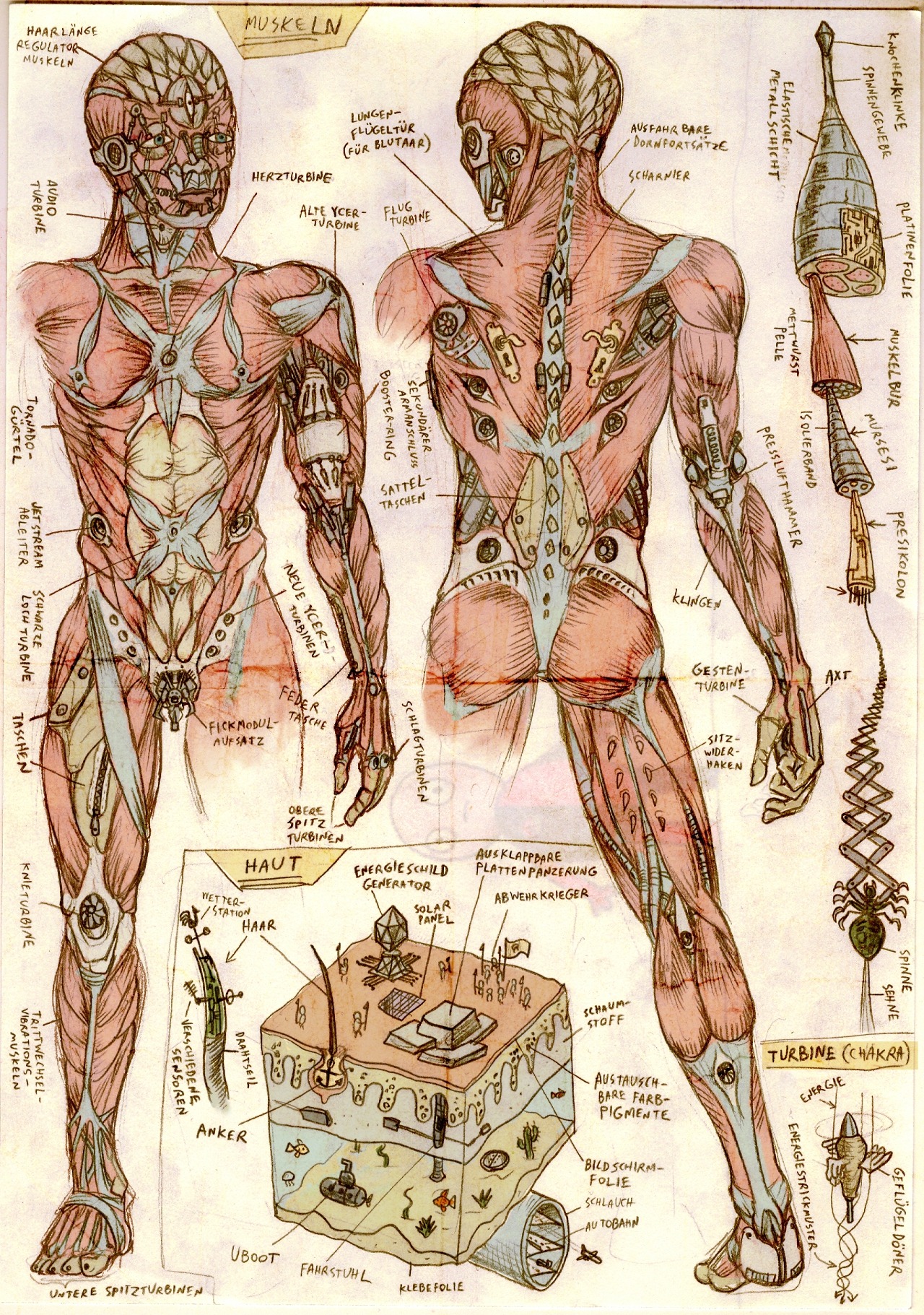 Msack Anatomie