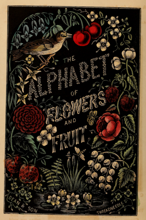 nemfrog:The alphabet of flowers and fruit. 1856. Illustrated...