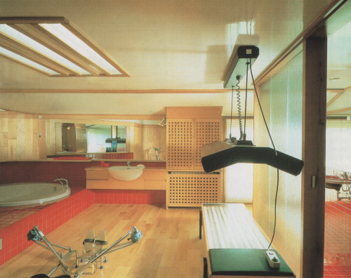 palmandlaser - From Bathroom Design (1985)