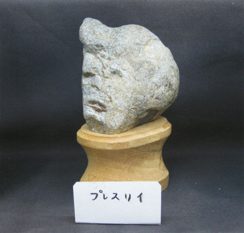 artichaut-toi-meme - itscolossal - The Japanese Museum of Rocks...