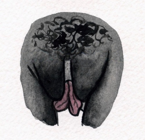the420housewife - What variation is your vagina’s vulva, labia,...