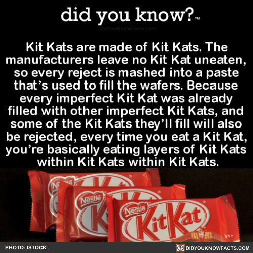 kit-kats-are-made-of-kit-kats-the-manufacturers