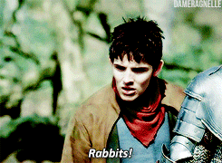 dameragnelle - Don’t be ridiculous, Merlin. – Arthur