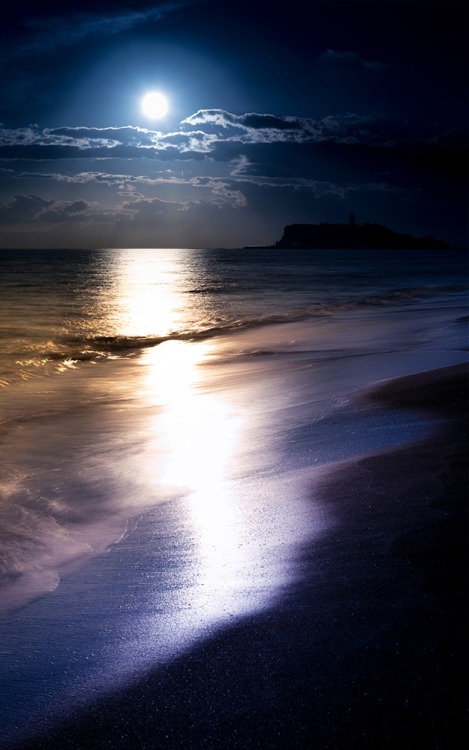 hellocoraco:“How beautiful is night! A dewy freshness fills...
