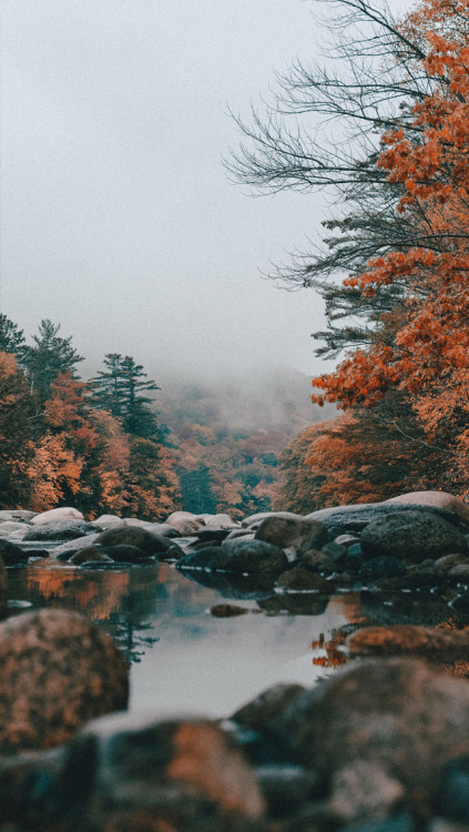 xphone-backgroundsx:Autumn Lockscreens //