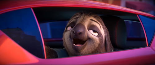 reactionfaces - Was the joke - A - Slow animal drives really...