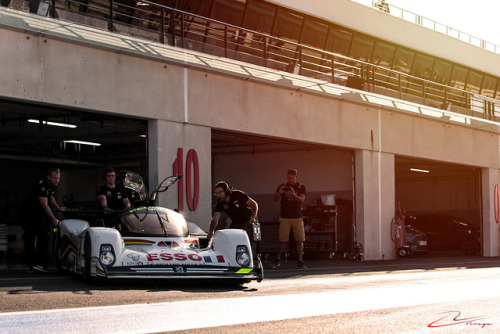 Starring: Peugeot 905By Rémi COLIN