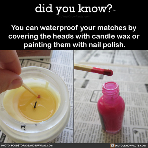 you-can-waterproof-your-matches-by-covering-the