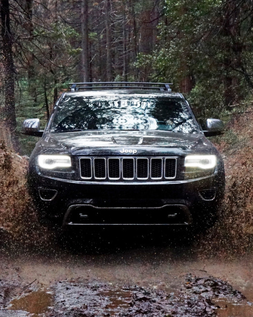 jeep: