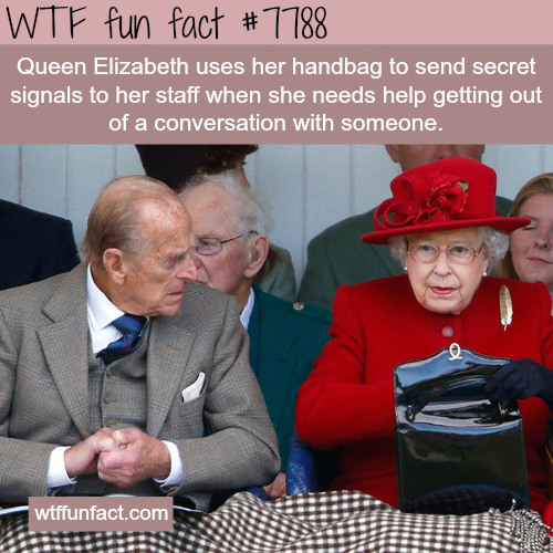 wtf-fun-factss - Queen Elizabeth’s handbag - WTF fun facts