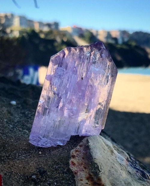 Pretty in pink Kunzite contemplating life via @manyminerals...
