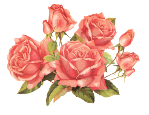 with cards christmas decoupage old roses  transparent Tumblr