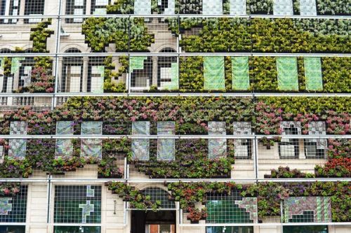 abluegirl - Living WallThese vegetated surfaces don’t just...