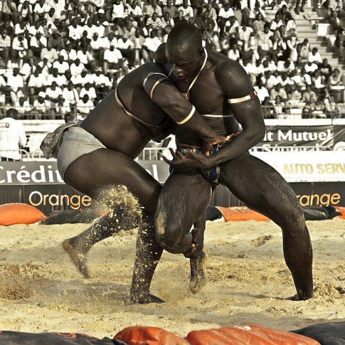 liberatedpeople - the-history-of-fighting - Senegalese Wrestling...