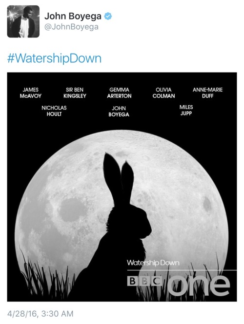 fawxblogs - fuckyeahjohnboyega - John Boyega and #WatershipDownOH...