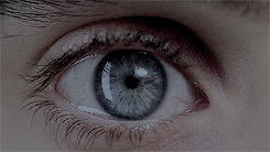 in-love-with-movies - Requiem for a Dream (USA, 2000)